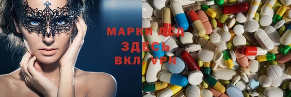 PSILOCYBIN Заводоуковск