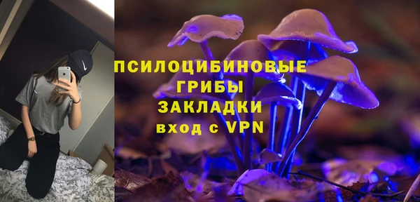 шишки Остров