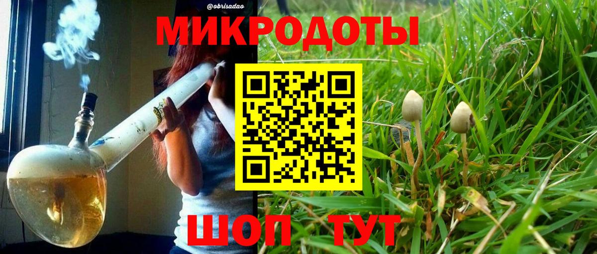 Галлюциногенные грибы MAGIC MUSHROOMS Кохма