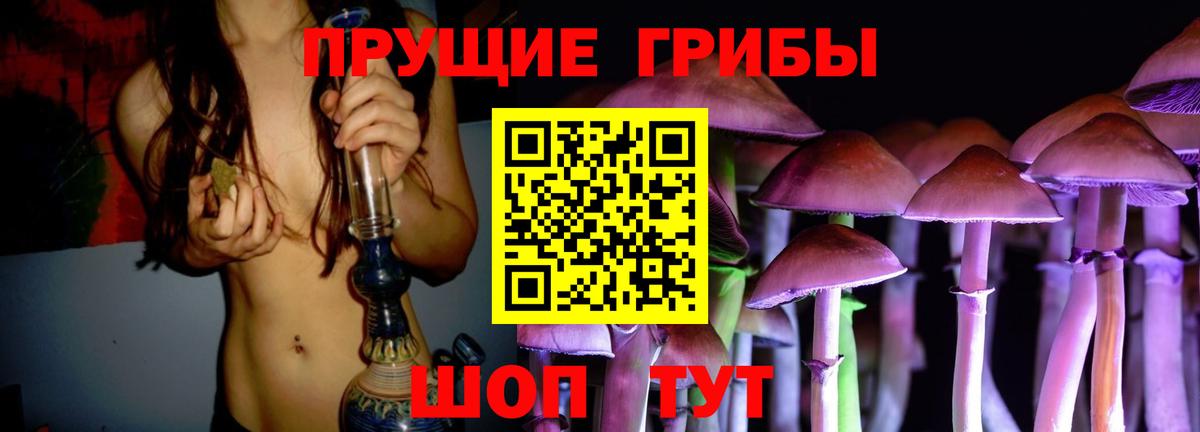 Псилоцибиновые грибы ЛСД  Вход с VPN  Галлюциногенные грибы Magic Shrooms  закладка  Кохма 