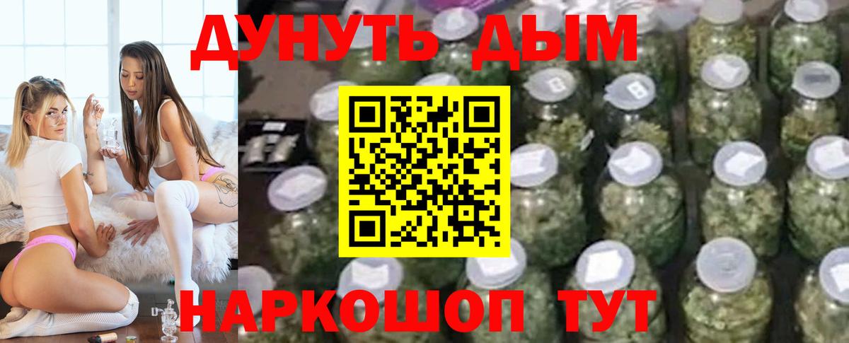 Бошки Шишки планчик  Конопля Amnesia  Кохма  МАРИХУАНА Bruce Banner  Вход с VPN 